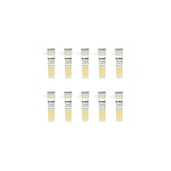 XJa(DE3) Autolysis, 10x100uml Mix & Go competent cells and 1ml 500X L-Arabinose